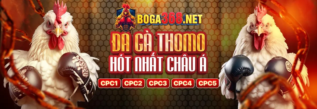 Đá gà trực tuyến 88mb đăng nhập